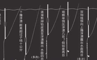 钓鲤鱼有什么诀窍，一般建议用4.5-5.4米的鱼竿