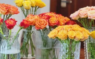 鲜花的保鲜方法，以下3种方法均可尝试