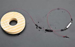 0.3号子线可以飞多重的鱼，能够直接提上2两的小鱼