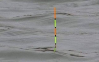 怎么钓黄尾鱼，常用调低钓高法或铅坠躺底法