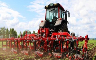 新农机动力不足的原因，是为了抑制新车的动力