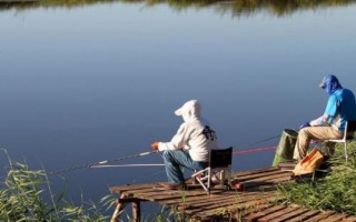 军鱼喜食的饵料，可使用蚯蚓、鸡肝、鸭肠等自然饵