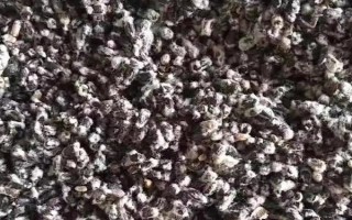 新陆早45号棉花种子简介，地膜栽培中等肥力