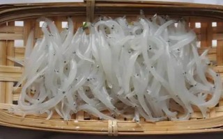 丹江口市银鱼的产地，产地主要在湖北十堰丹江口市