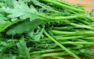 8月底适合种什么蔬菜，茼蒿、芥菜、菠菜等品种均可选择