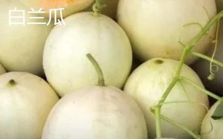 甜瓜是什么季节的水果，通常都是在夏季上市