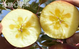 夏天水果保鲜方法,根据水果的种类采取保存措施