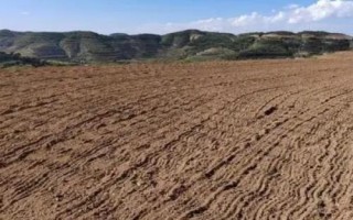 五味子的育苗技术，首先做好育苗田的选择工作