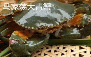 江苏省阜宁县特产,是江淮生态经济区新时代鱼米之乡