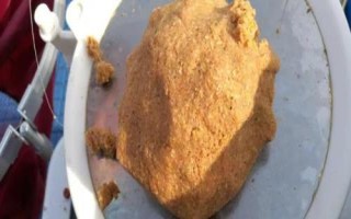 野钓单开蓝鲫好还是老三样好,鱼情较差时用老三样的效果更好