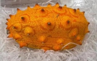 火参果是什么季节的水果，是夏秋季节的水果