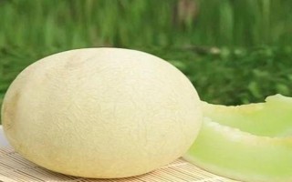 甜瓜的常见品种，常见的有兰州白兰瓜、早雪甜瓜等