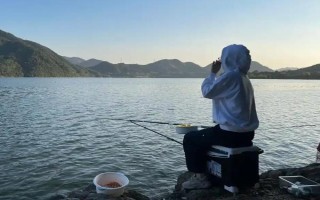 鲫鱼产卵多久结束，一般为3天左右