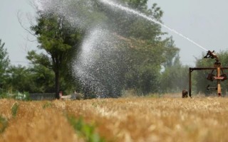 怎么防治玉米的虫害，轮作倒茬、清洁田园可减少初侵染源