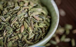 茴香的收获时间,5-6月份和9-10月份均可收获