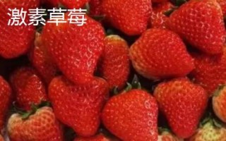 草莓属于哪个季节的水果，常在春末夏初采摘上市