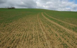 未来哪些土地可能会被征用，公路旁边的土地可能会被征用扩宽