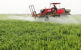 晋麦91号小麦品种简介，防治地下害虫