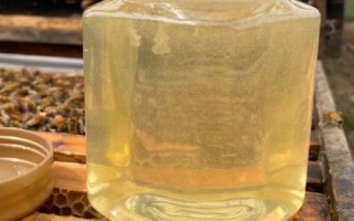 槐花蜜变黑能否食用,变黑代表已经变质、此时不能食用