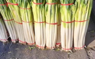 山东济南的特产,有东阿阿胶、文祖花椒等