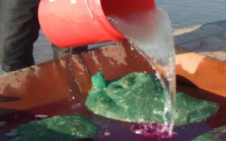 夏季水产养殖技术，每次注水深度保持在12-14厘米左右