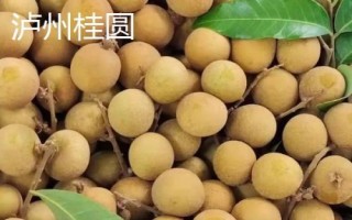 哪里产出的桂圆又甜又好吃，楼坝桂圆清甜可口深受消费者欢迎