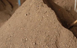 狗粪能不能直接埋土里当作花肥，直接使用容易引发病害