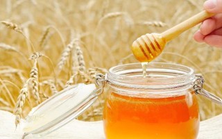 怎么看蜂蜜的好坏，根据气味、味道、有无气泡进行分辨