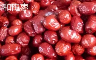 黑枣的产地,产于河北、山西、陕西等省份