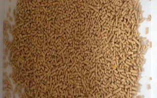 投食和投喂的注意事项，投喂量要适量