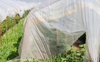 先进的农用薄膜有哪些，有轻薄型薄膜、多用途薄膜等