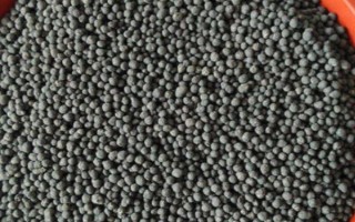 迎春花的养殖方法，适宜生长在10-25℃左右的环境