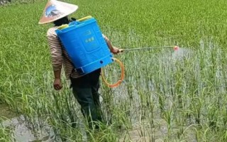 炔螨特的使用注意事项，需要做好防护措施