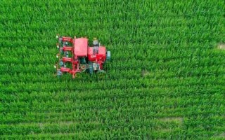 农村种植业未来发展趋势，丘陵地区更容易向现代林果业发展