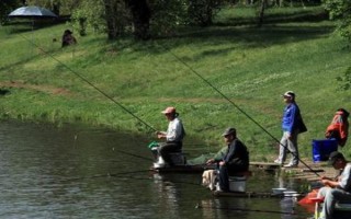 夏季水库钓鱼技巧，用面饵最为合适