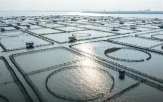 塞内加尔海域渔业资源丰富是什么原因，当地气温适宜