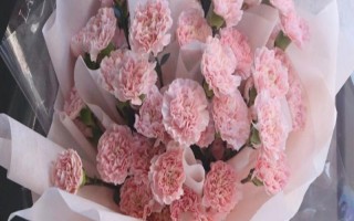 生日适合送什么花,赠送的对象不同选择的花卉不同