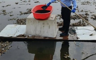 养殖10亩小龙虾的成本，大概需要13万元左右