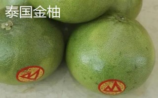泰国柚子品种介绍,红柚比白柚价格高