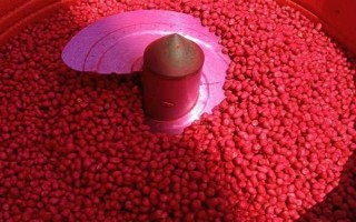 小麦叶尖发黄的原因，氮肥施用过多或除草剂药害均会导致