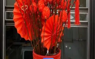 银柳能直接插土里吗，可以插土里进行扦插繁殖