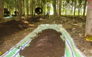 蚯蚓没有销路如何解决，卖给渔具店是不错的选择