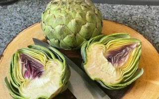 洋蓟如何种植,定植时控制好株距行距