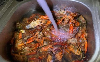 养殖的小龙虾是不是比野生的干净，人工养殖的水质条件更好