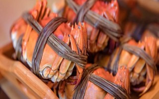 24小时之内死了的螃蟹能不能吃，需要根据保存条件决定