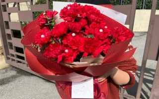 红色康乃馨适合送什么人，适合赠送给母亲或师长