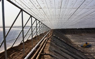 桑黄的种植技术,最佳的出菇温度在25-30℃之间