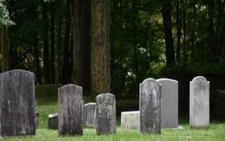 坟头长树不清理掉的原因，是迷信的说法