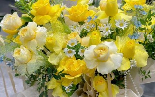 黄玫瑰的花语，寓意已逝的爱、等待的爱等