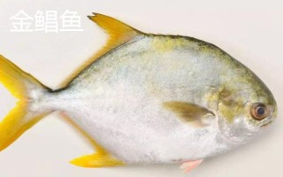 白鲳鱼怎么做,主要有以下2种方法